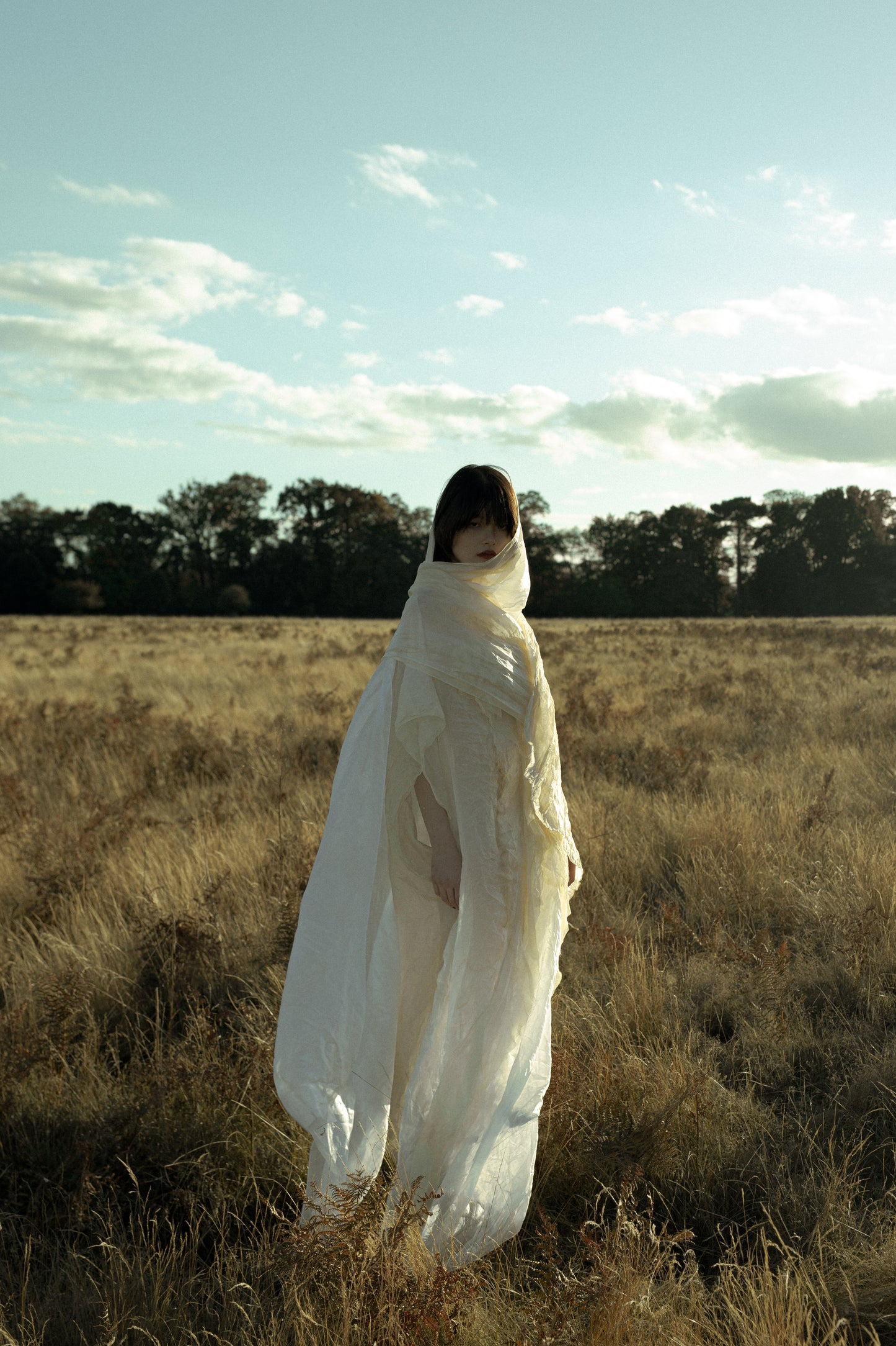 Natural Dyed Silk Dress