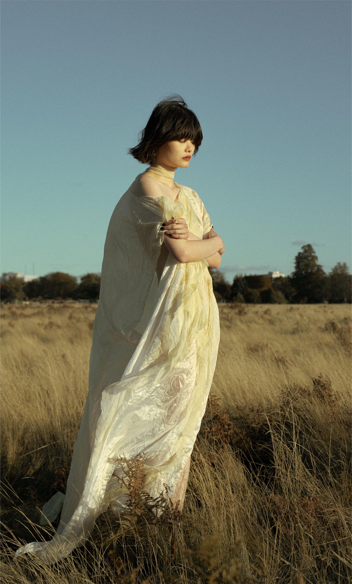 Natural Dyed Silk Dress