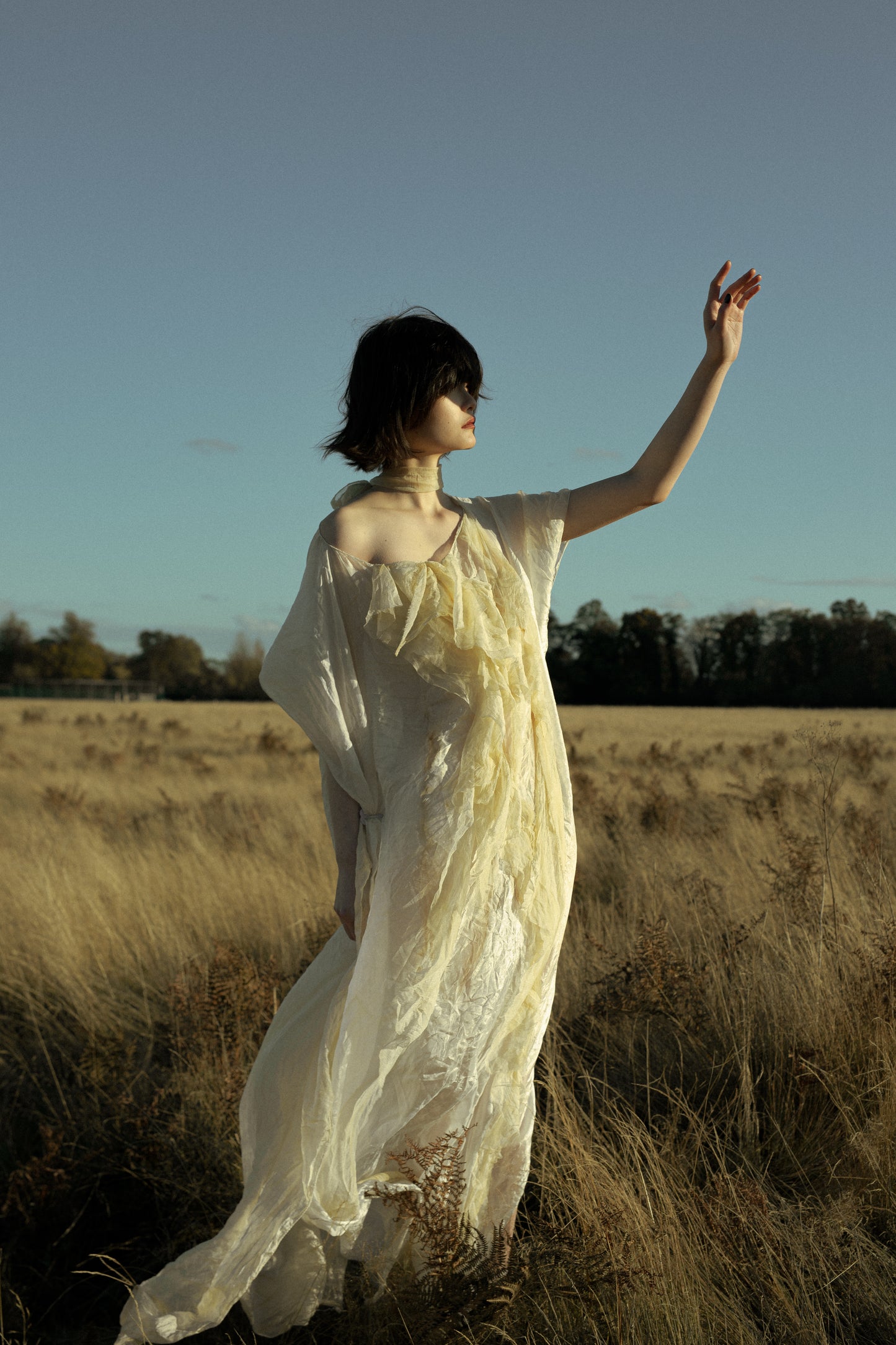 Natural Dyed Silk Dress